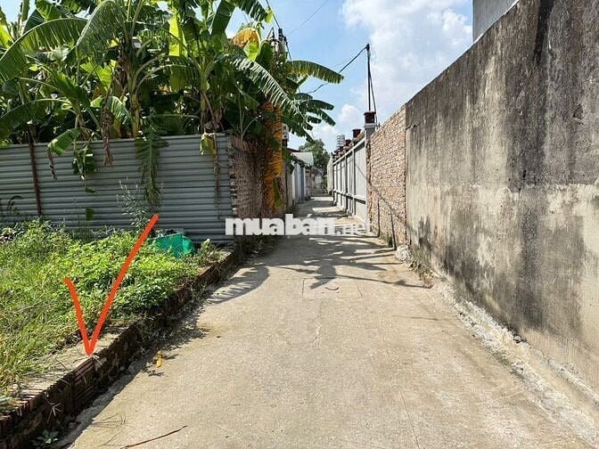 Bán Đất thôn Mai Đông, Mai Đình - Sóc Sơn - 83M2 - 2,55 Tỷ -