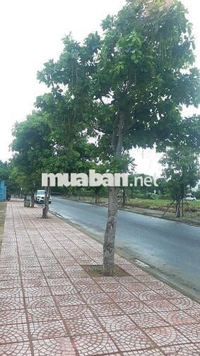 Bán Đất nền Trung Tâm Phố Cổ Hội An