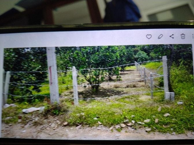 Bán đất thổ cư khu vực dân cư 