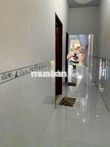 Bán gấp căn nhà cấp 4 ở Đ. Nguyễn Thị Lắng , Củ Chi 98m2 SHR giá 820tr