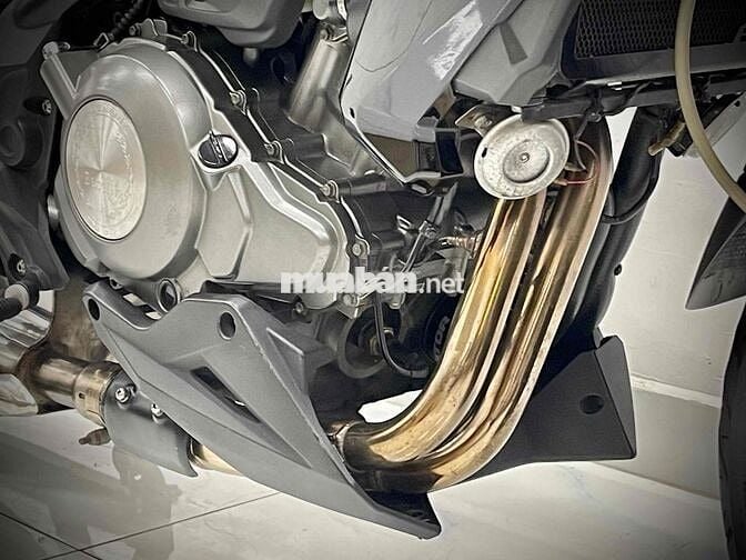 BENELLI 302 DATE 2015