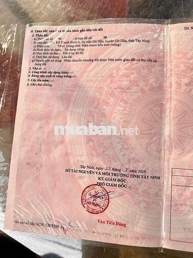cần bán gấp lô đất ngay trung tâm thị trấn Gò Dầu, tỉnh Tây Ninh.