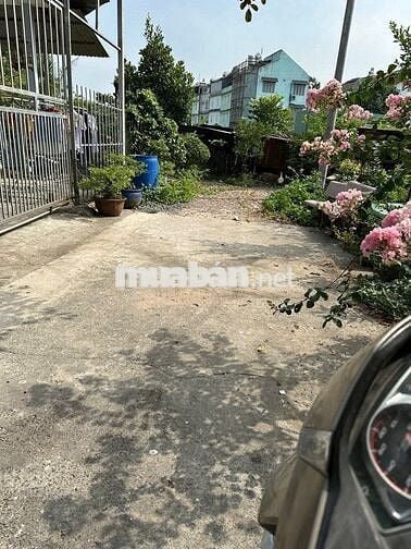 🏠 BÁN GẤP ĐẤT TÂN XUÂN – GIẢM 200 TRIỆU – GIÁ CHỈ 2,6 TỶ