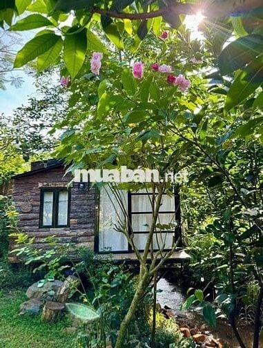 Đất view rộng 1190m2 tại Định Quán - Đồng Nai giáp suối chảy cực xịn