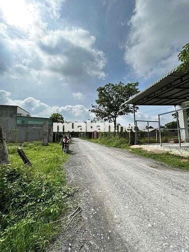 Bán đất thổ cư 113m2 gần KCN Trảng Bàng