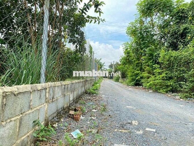 Nhà + vườn bưởi Trảng Bàng 330m2 (10x33)m, SHR, Giá 855tr, gần chợ.