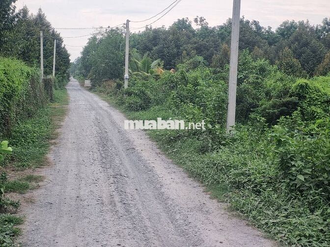 5500m2 có 1400m2 thổ cư. 2 mặt tiền. Ngay khu đô thị. 6,5 tỷ