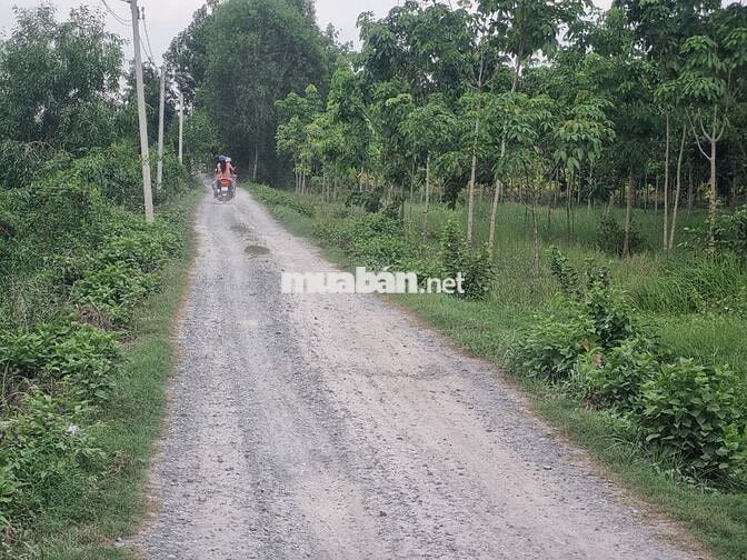 5500m2 có 1400m2 thổ cư. 2 mặt tiền. Ngay khu đô thị. 6,5 tỷ