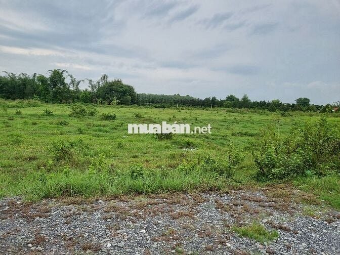 5500m2 có 1400m2 thổ cư. 2 mặt tiền. Ngay khu đô thị. 6,5 tỷ
