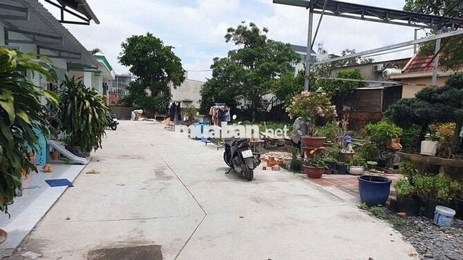 Đất thổ cư 11x12m, gần trường Tam Đông, trường Bách Nghệ