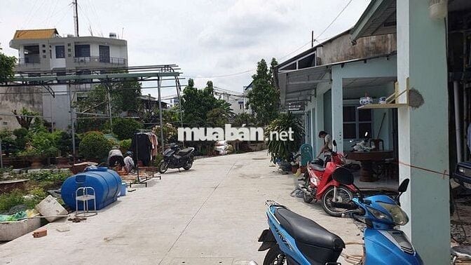 Đất thổ cư 11x12m, gần trường Tam Đông, trường Bách Nghệ