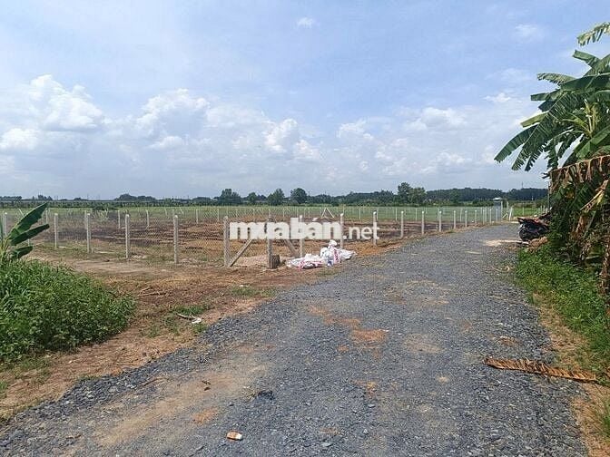 Giá 1tỷ (giá 100%) 1223m2 (20x60), SHR, ngay KCN Tây Bắc Củ Chi