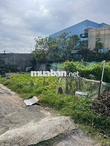 Bán Đất căn góc 2 mặt tiền đường Đông Thạnh 4-2.  Hóc Môn