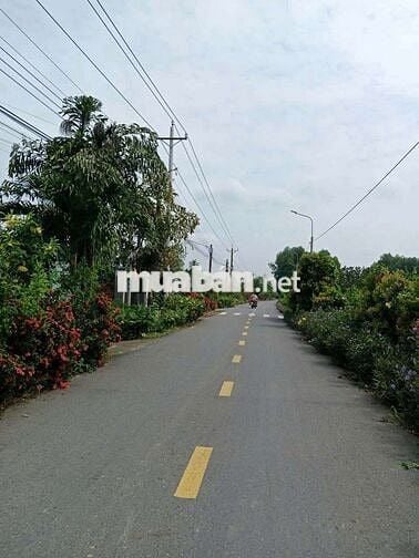 Nhà 12 * 20 (102 thổ cư). P. tân Triều ( Xã Tân Bình cũ ) Đ.Nai .2tỷ4.