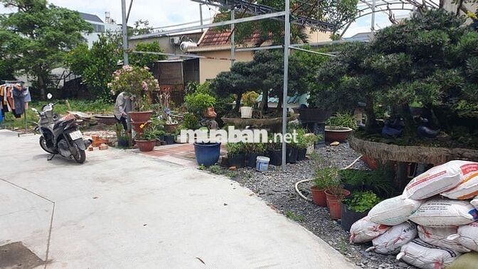 Đất thổ cư 7.5x12m, gần trường Tam Đông, trường Bách Nghệ