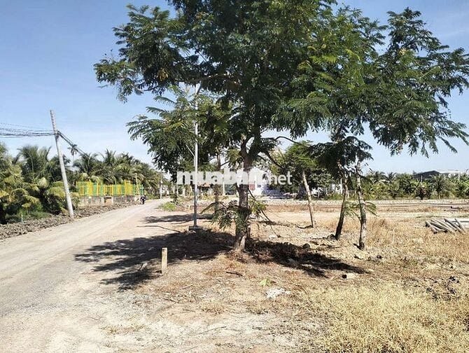 ĐẤT GIÁ MỀM QUANH CÁC KHU ĐÔ THI TẠI THỊ TRẤN ĐỨC HOÀ