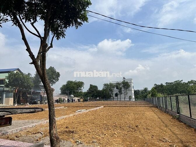CHÍNH CHỦ BÁN 2 LÔ ĐẤT VÀNG KHU VỰC METRO PHÚ CÁT- 137M2 - FULL THỔ CƯ