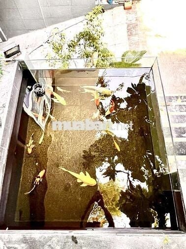 Bán biệt thự Lê văn quới , 9x19 , có hầm xe , đường 8m