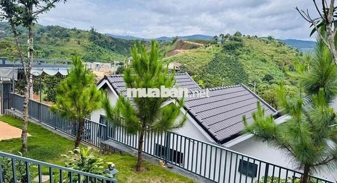 Đầu tư thua lỗ bán gấp nhà vườn P2 Bảo Lộc dtich 219m2