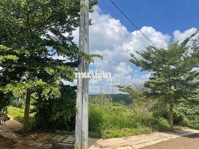 bán ĐẤT KQH PHẠM HỒNG THÁI: 2 mặt tiền. 🌱 Cách Bờ Hồ Xuân Hương 600m.