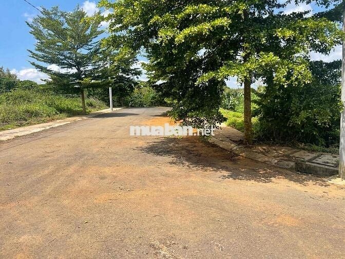 bán ĐẤT KQH PHẠM HỒNG THÁI: 2 mặt tiền. 🌱 Cách Bờ Hồ Xuân Hương 600m.