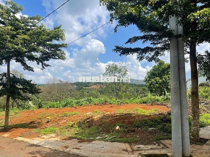 bán ĐẤT KQH PHẠM HỒNG THÁI: 2 mặt tiền. 🌱 Cách Bờ Hồ Xuân Hương 600m.