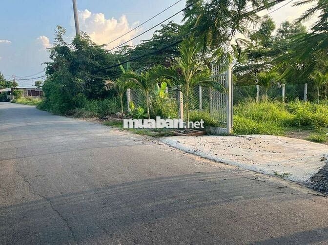 MẶT TIỀN  ĐƯỜNG BÙI VĂN SỰ - DT  15,5M X 35M - DÂN ĐÔNG ĐÚC  - 4.3 TỶ