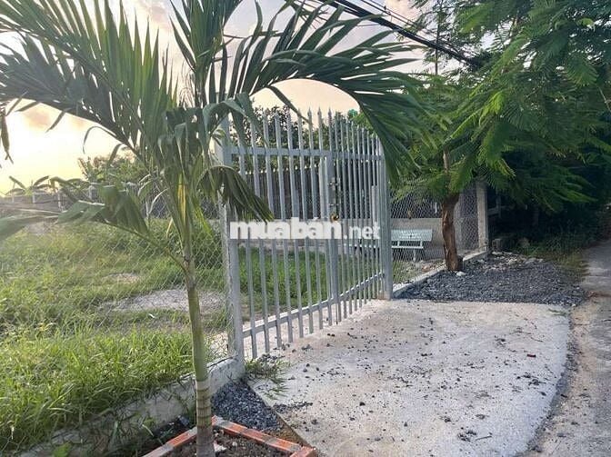 MẶT TIỀN  ĐƯỜNG BÙI VĂN SỰ - DT  15,5M X 35M - DÂN ĐÔNG ĐÚC  - 4.3 TỶ