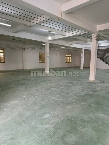 Cho thuê kho số 44 đường 38, khu phố 76, Phường Hiệp Bình, 800m2