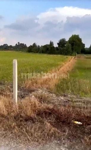 85m2 sổ hồng sẵn. Đường thông. Gần KCN Phước Đông. 125tr
