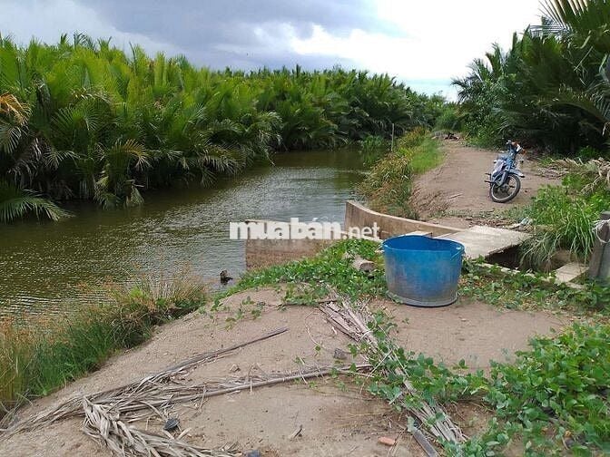 🔥 Đất lớn Cần Giờ 1.5ha (15.000m²), giá chỉ 800tr/1000m².