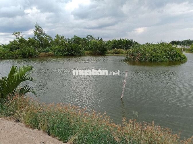 🔥 Đất lớn Cần Giờ 1.5ha (15.000m²), giá chỉ 800tr/1000m².
