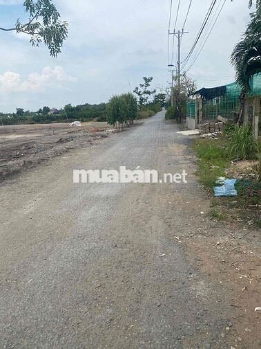 cần bán lô đất mặt tiền đường nhựa ô tô tại an thới đông cần giờ tphcm