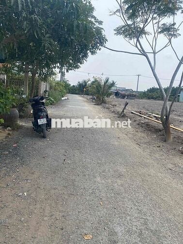cần bán lô đất mặt tiền đường nhựa ô tô tại an thới đông cần giờ tphcm