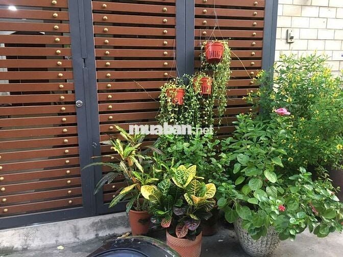 Cho Thuê MB Vị Trí Đẹp Hẻm xe Tải Ng.Huy Tưởng P7 BT