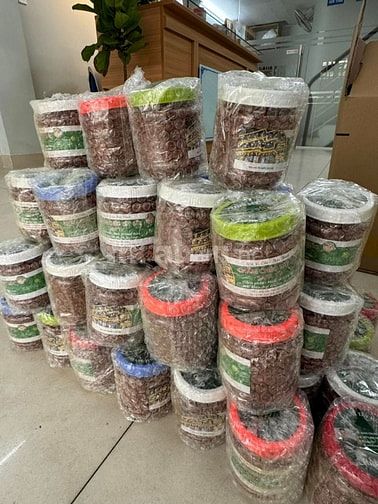 Gửi hàng đi Mỹ chỉ với 135k dường biển - 235k đường bay