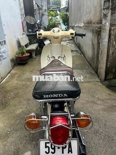 cub 50 cc bstp