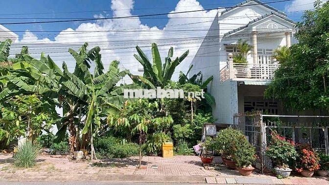 đất cần chính chủ cần tìm chủ mới ở Cao lỗ quận 8 full thổ cư