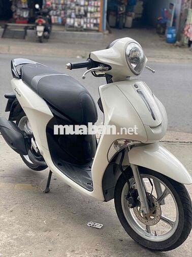 BÁN XE JANUS BS 59. XE ĐẸP MÁY ZIN ÊM