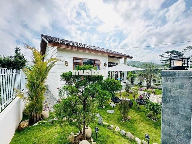 🏡 Với 7 tỷ sở hữu Villa Mộng Mơ – Phường 7 - Đà Lạt 🌿
