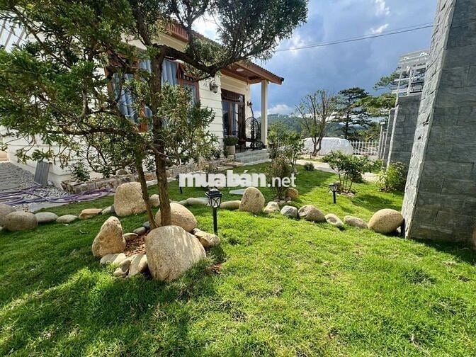 🏡 Với 7 tỷ sở hữu Villa Mộng Mơ – Phường 7 - Đà Lạt 🌿