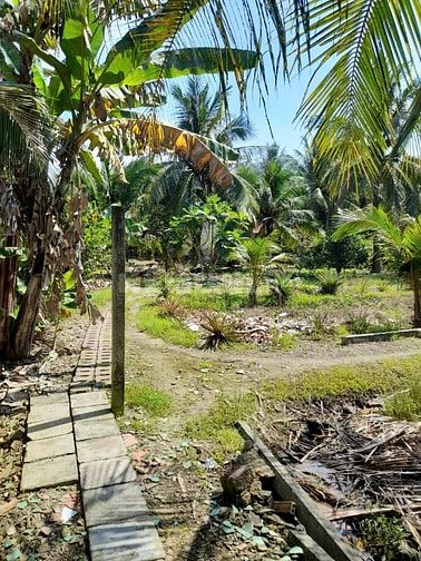 Bán gấp nhà vườn Nhơn Trạch giá rẻ 3,4tr/m.MT SR chính chủ.GỌI NGAY 24