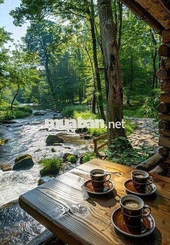 🌿 ĐẤT VIEW SUỐI MÁT – CHỈ 1 TRIỆU/M² 🌿
