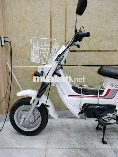 CHALY 50cc,XE HỌC SINH ĐI HỌC,MÁY BAO ÊM