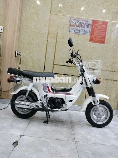 CHALY 50cc,XE HỌC SINH ĐI HỌC,MÁY BAO ÊM