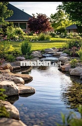 🌿 ĐẤT VIEW SUỐI MÁT – CHỈ 1 TRIỆU/M² 🌿