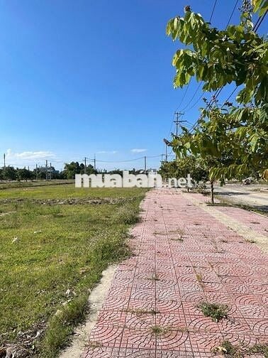 🌟 ĐẤT NỀN VIEW BIỆT THỰ – HƯỚNG ĐÔNG ĐÓN NẮNG SỚM 🌟