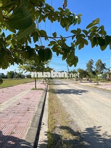 🌟 ĐẤT NỀN VIEW BIỆT THỰ – HƯỚNG ĐÔNG ĐÓN NẮNG SỚM 🌟