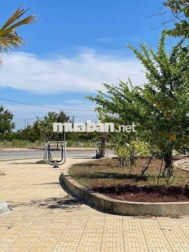 🌟 ĐẤT NỀN VIEW BIỆT THỰ – HƯỚNG ĐÔNG ĐÓN NẮNG SỚM 🌟
