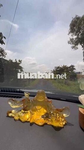 cần bán miếng đất lúa đường nhựa xe hơi tới đất 25x67 1657.2 mv